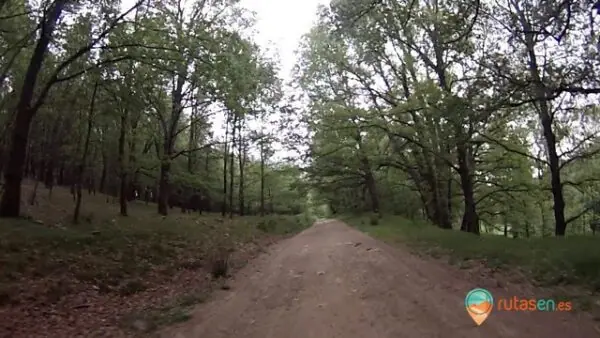 Ruta Los Cuévanos alojamientos, rutasen.es